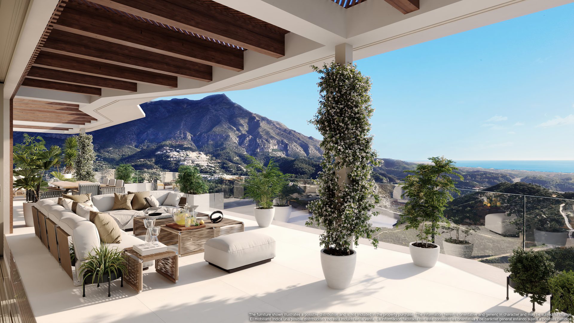 Mimosas_340.Terrace.render